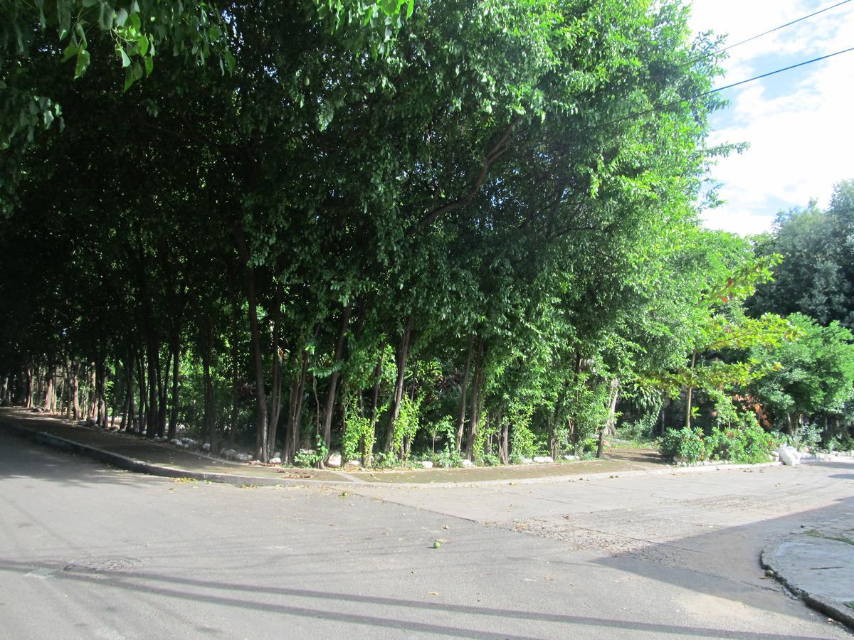 Backpackers And Travellers Hostel Neiva  Zewnętrze zdjęcie