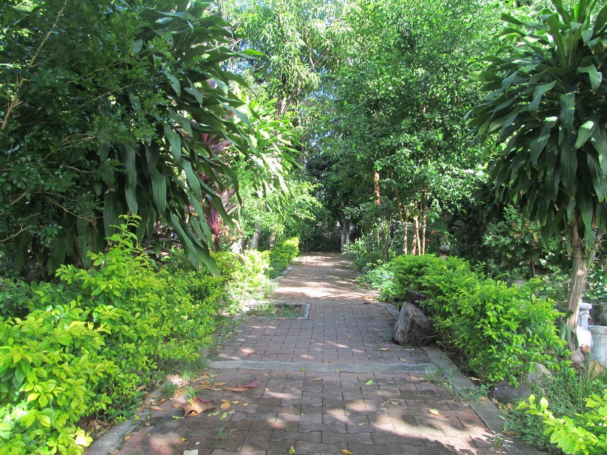 Backpackers And Travellers Hostel Neiva  Zewnętrze zdjęcie